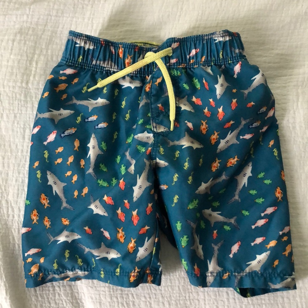 3t shark swim trunks
